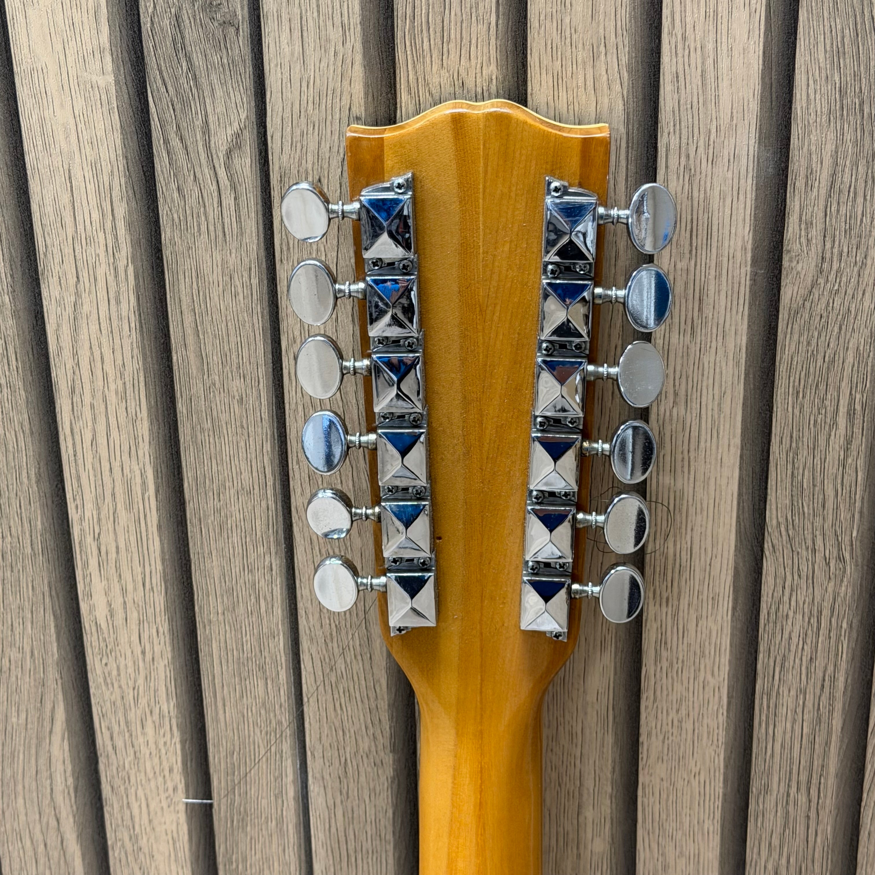 Conrad 12 String Semi Hollow Vintage Electric Guitar
